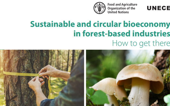 Dovetail Partners Contributes to UNECE Report Addressing: Sustainable and Circular Bioeconomy in Forest-Based Industries